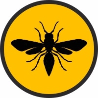 wasps exterminator edmonton