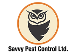 Savvy Pest control