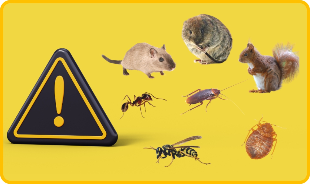 pest control edmonton