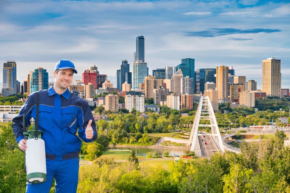 Edmonton Pest Control | Top-Rated Edmonton Exterminator