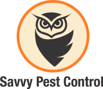 edmonton pest control edmonton pest control